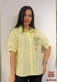 Bluze plus size