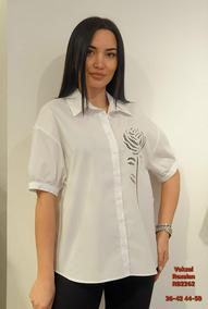 Bluze plus size