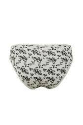 Women's panties