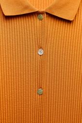 RIBBED POLO COLLAR DRESS WITH BUTTONS